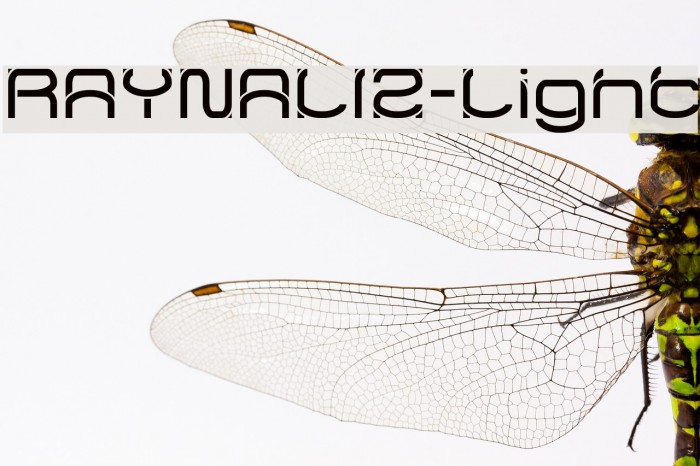 RAYNALIZ-Light Font examples