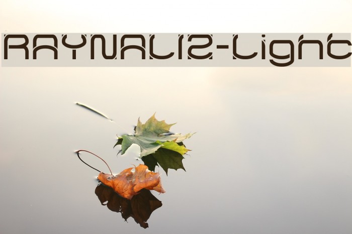 RAYNALIZ-Light Font examples