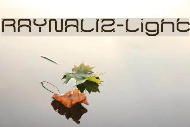 RAYNALIZ-Light Example 2