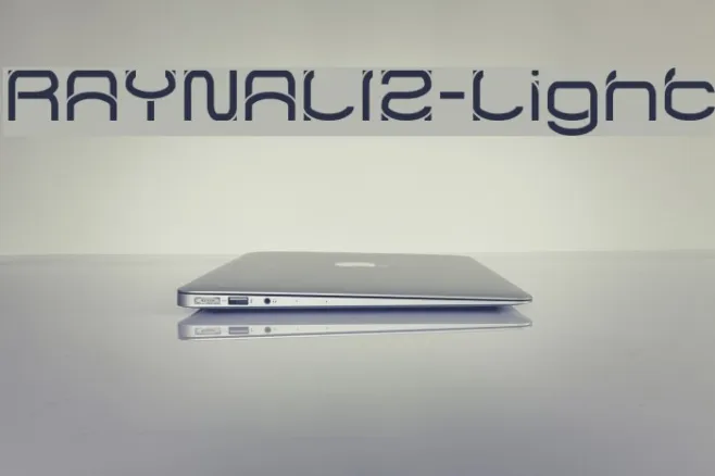 RAYNALIZ-Light Example 3