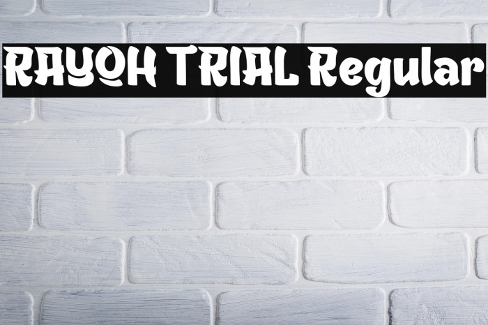 RAYOH TRIAL Regular Example 2