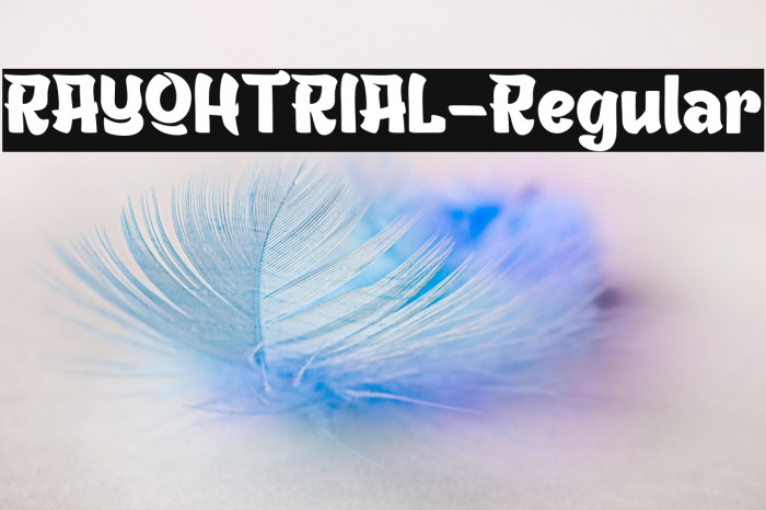 RAYOHTRIAL-Regular Example 3