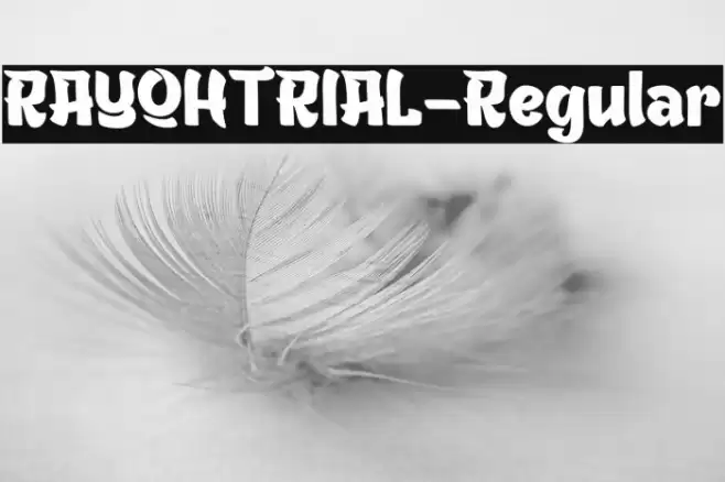 RAYOHTRIAL-Regular Font examples