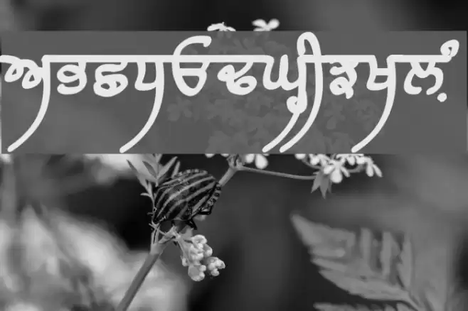 Raaj Black फ़ॉन्ट examples