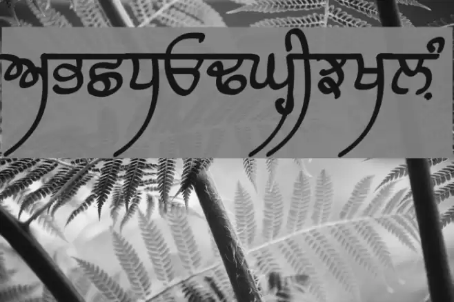 Raaj Bold Font examples