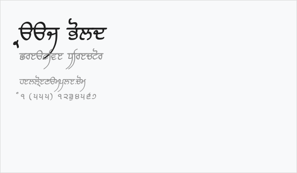 Raaj Bold Business Card