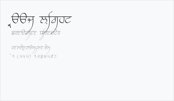 Raaj Light Business Card