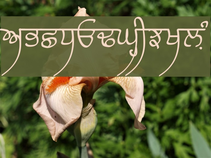 Raaj Medium Font examples