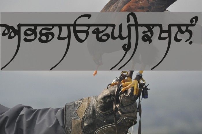 Raaj Script Medium Font examples
