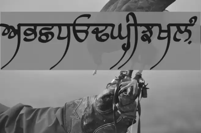 Raaj Script Medium Шрифта examples