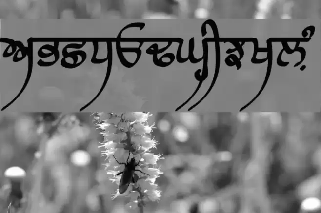 Raaj Script Medium Шрифта examples