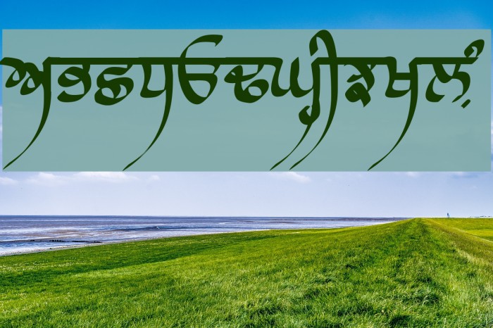 Raaj Script Thin Font examples