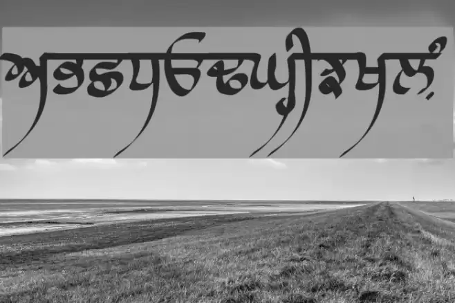 Raaj Script Thin Polices examples