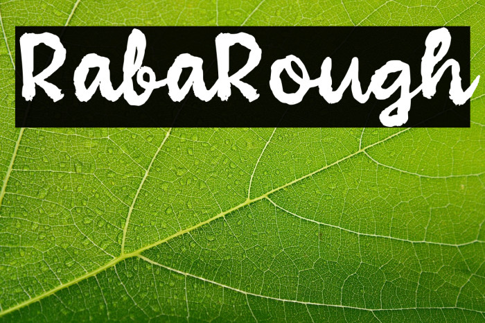 Raba Rough Example 2