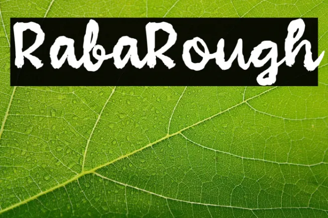 Raba Rough Example 2