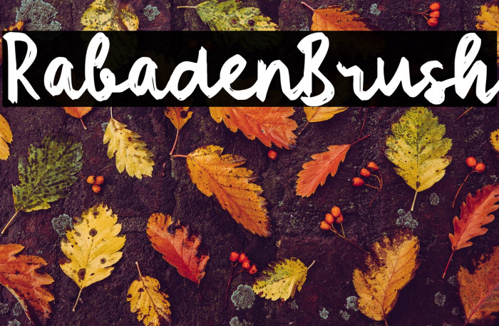 Rabaden Brush Example 1