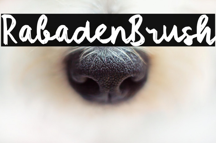 Rabaden Brush Example 2