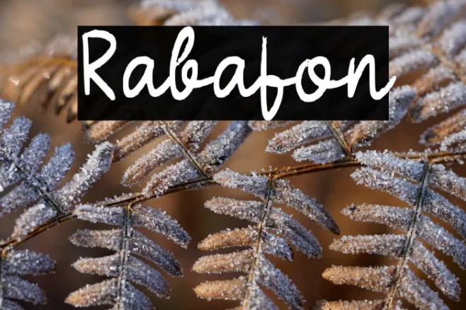 Rabafon Example 1