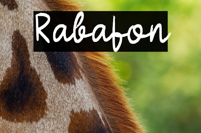 Rabafon Example 2