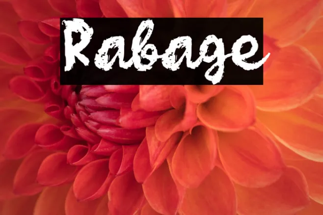Rabage Example 1