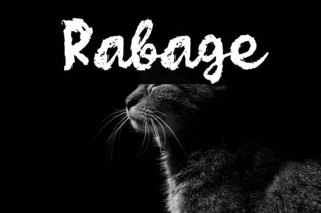 Rabage Example 3