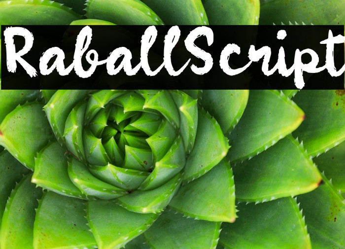 Raball Script Example 2