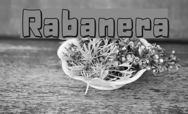 Rabanera Font examples