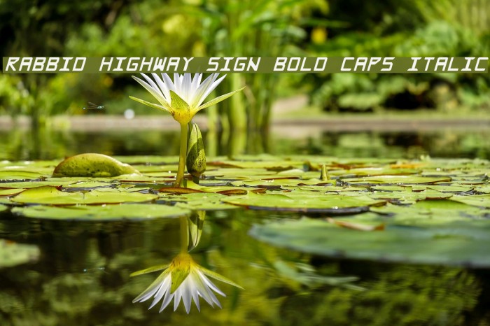 Rabbid Highway Sign Bold Caps Italic フォント examples