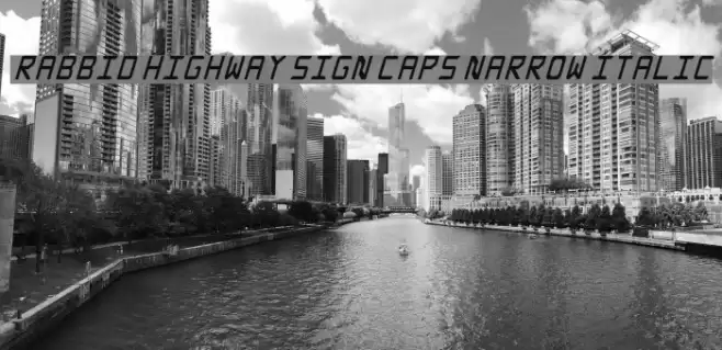 Rabbid Highway Sign Caps Narrow Italic Font examples