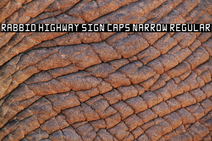 Rabbid Highway Sign Caps Narrow Regular Font examples