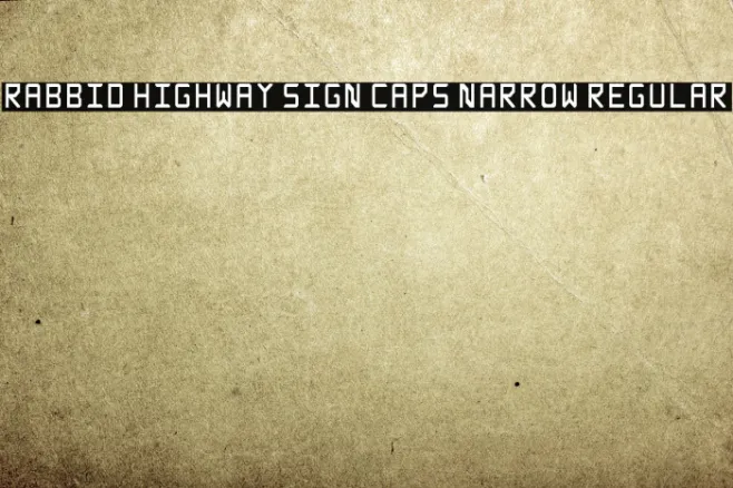 Rabbid Highway Sign Caps Narrow Regular Example 3