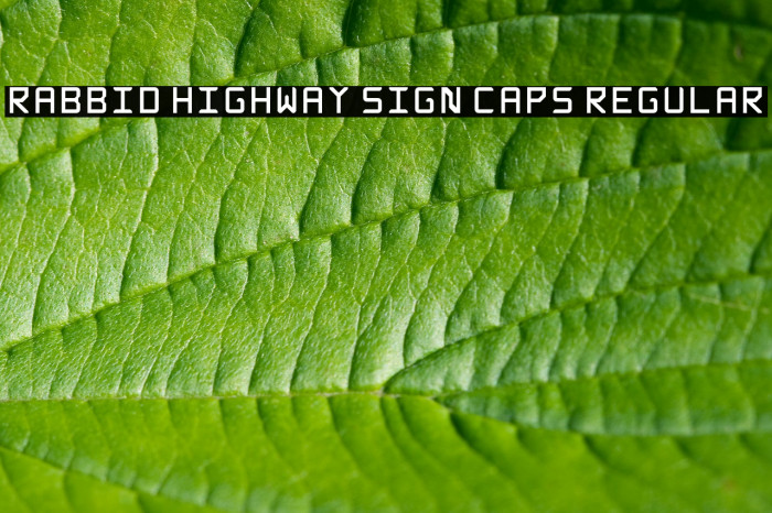 Rabbid Highway Sign Caps Regular Font examples
