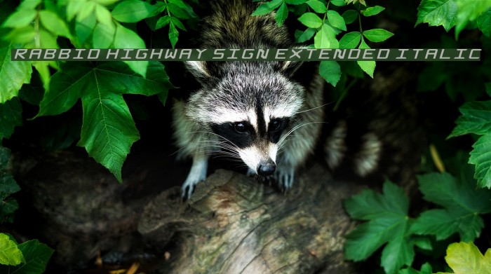 Rabbid Highway Sign Extended Italic Font examples