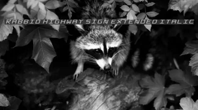 Rabbid Highway Sign Extended Italic Font examples