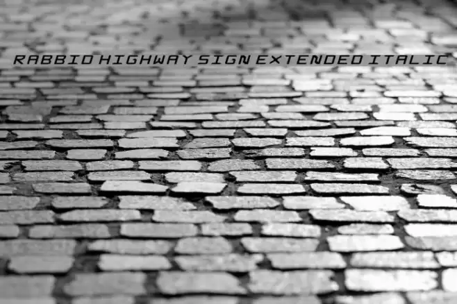 Rabbid Highway Sign Extended Italic Font examples