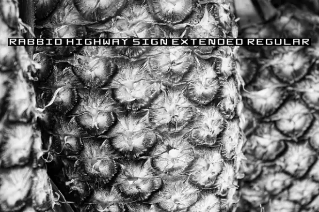 Rabbid Highway Sign Extended Regular Schriftart examples