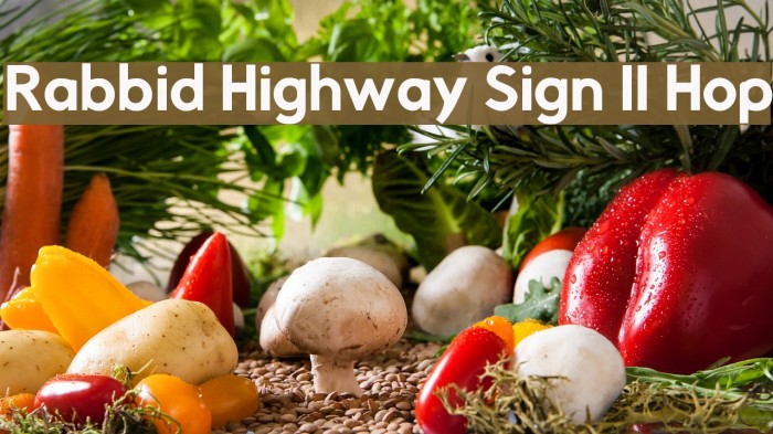 Rabbid Highway Sign II Hop Font examples
