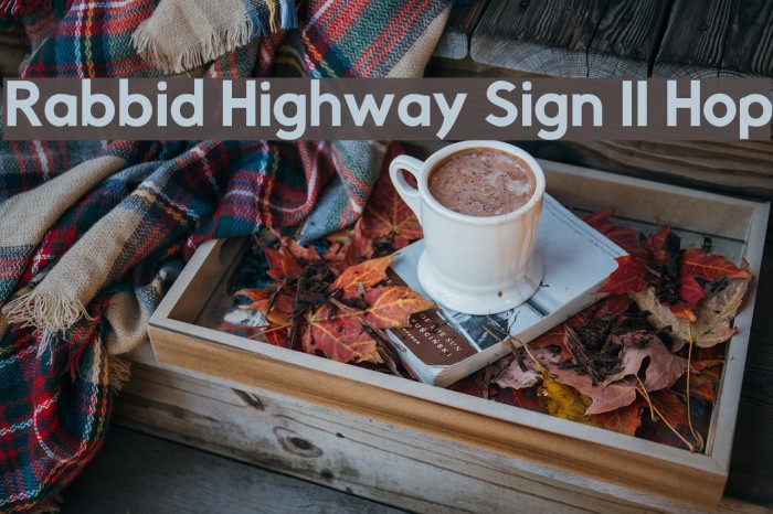 Rabbid Highway Sign II Hop Font examples