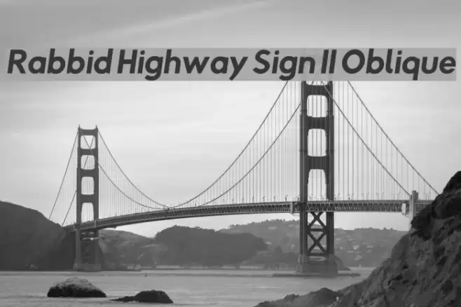 Rabbid Highway Sign II Oblique Polices examples
