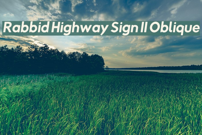 Rabbid Highway Sign II Oblique Font examples