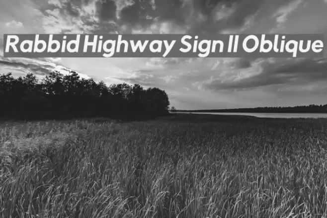 Rabbid Highway Sign II Oblique Polices examples