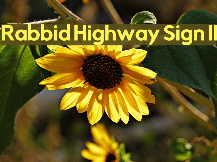 Rabbid Highway Sign II फ़ॉन्ट examples