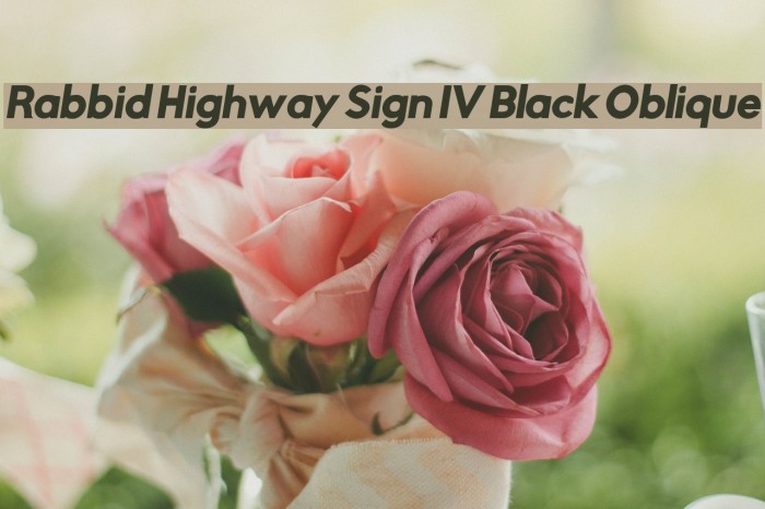 Rabbid Highway Sign IV Black Oblique Font examples