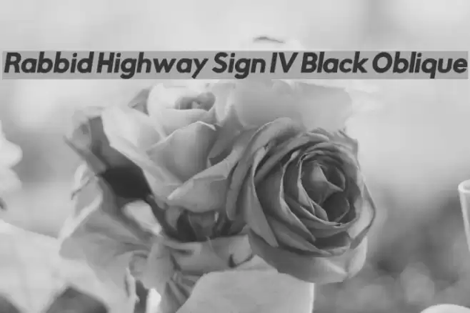 Rabbid Highway Sign IV Black Oblique examples