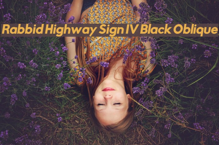 Rabbid Highway Sign IV Black Oblique Font examples