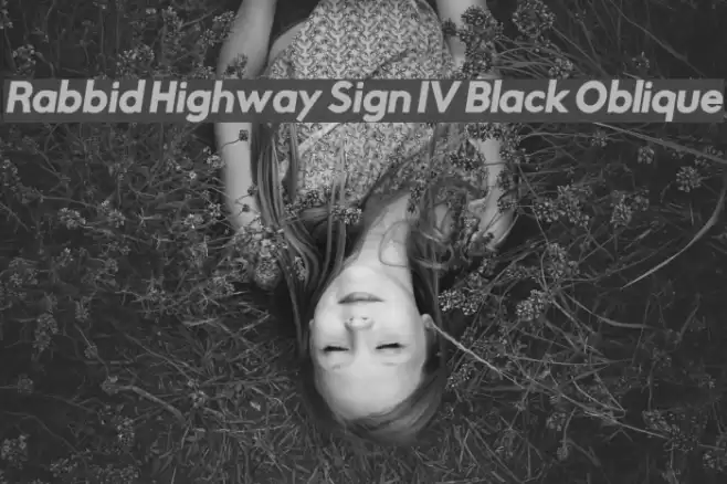 Rabbid Highway Sign IV Black Oblique examples