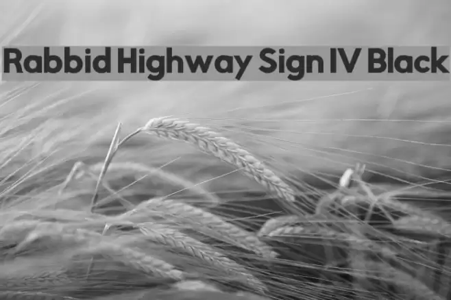 Rabbid Highway Sign IV Black Font examples