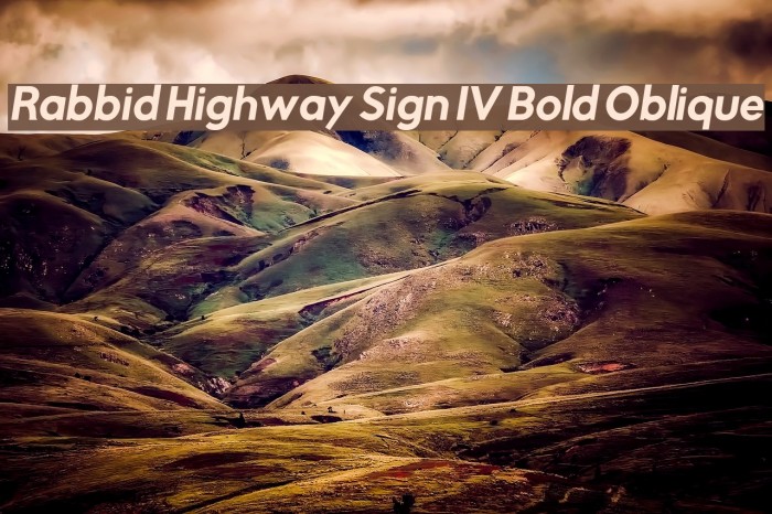 Rabbid Highway Sign IV Bold Oblique Шрифта examples