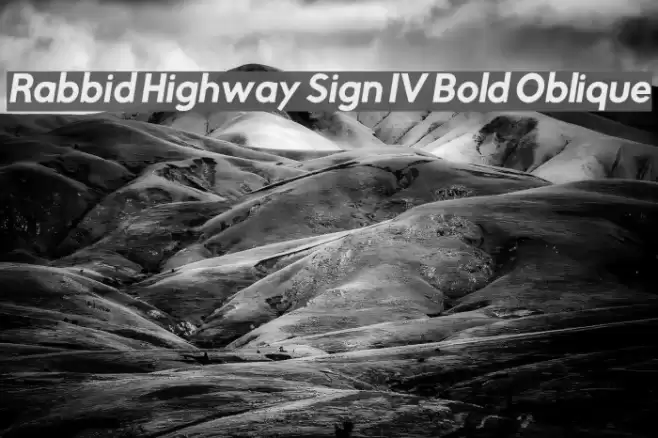 Rabbid Highway Sign IV Bold Oblique Font examples