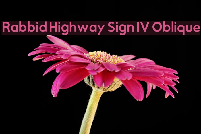 Rabbid Highway Sign IV Oblique Font examples